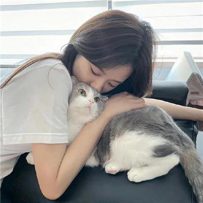不砍梅树的傻瓜